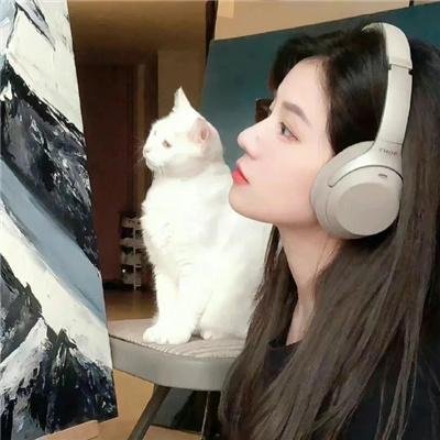 再见哈瑞